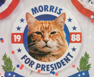 Президентская компания кота Морриса